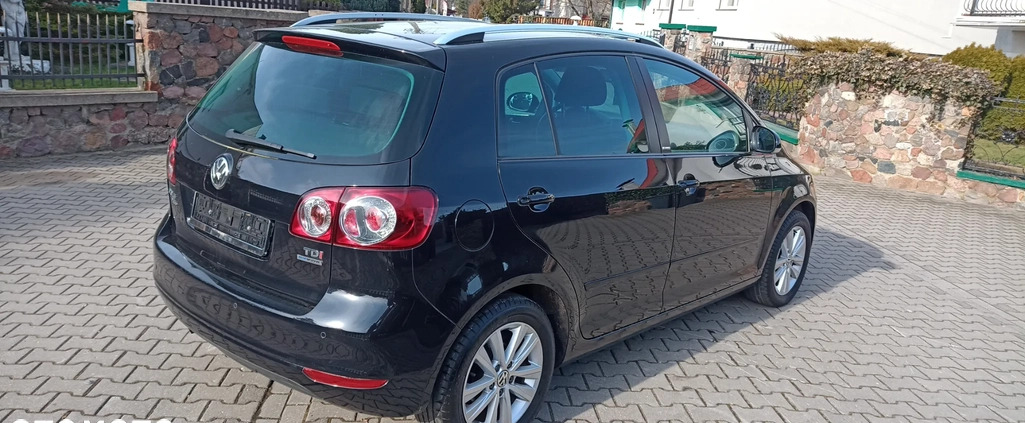Volkswagen Golf Plus cena 28600 przebieg: 172050, rok produkcji 2011 z Trzemeszno małe 137